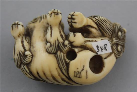 A Japanese ivory netsuke of a shi-shi, signed Ichimin, early Meiji period, 4.6cm